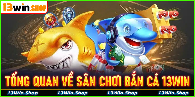 Tổng quan chung về sân chơi giải trí, bắn cá 13win