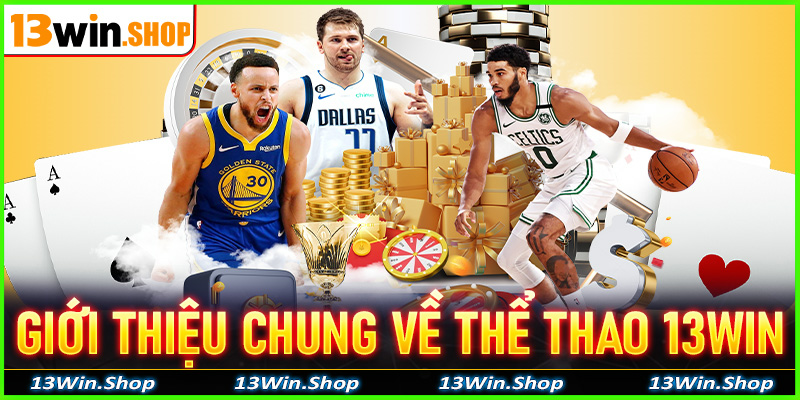 Giới thiệu chung về sân chơi cá cược thể thao 13win