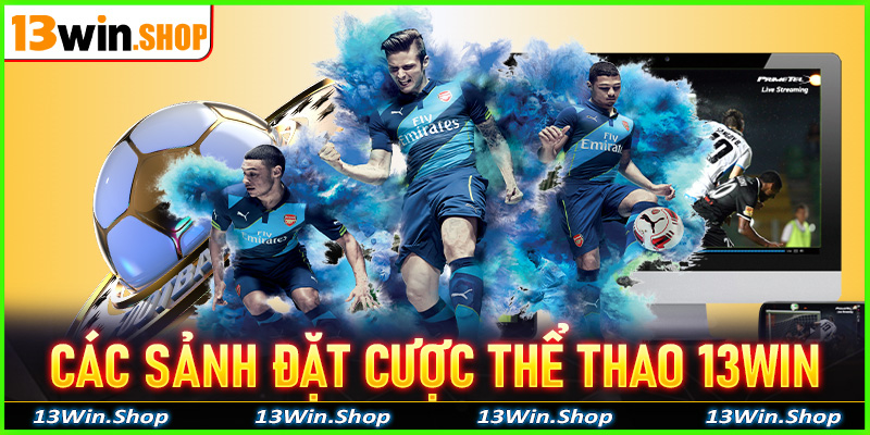 Danh sách các sảnh đặt cược thể thao 13win đang thịnh hành nhất trong thời gian qua
